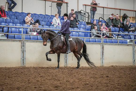 Spring Fling - Saturday - April 20, 2019  -  03754