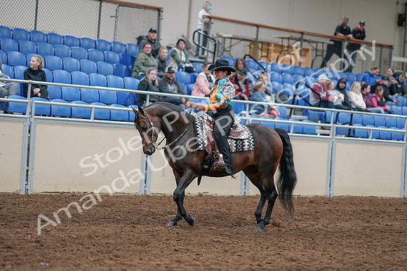 2020 - AB Morgan Horse - Sun, Sept 06 - 07482