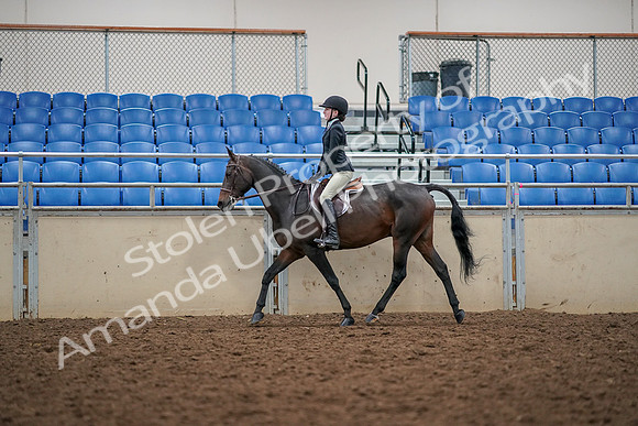 2019 Morgan Horse Show - Aug 30, 2019 - 23132