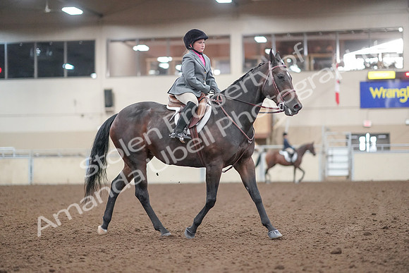 2019 Morgan Horse Show - Aug 31, 2019 - 19644