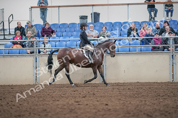 2019 Morgan Horse Show - Aug 31, 2019 - 19693