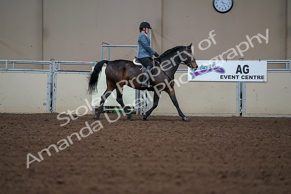 2019 Morgan Horse Show - Aug 30, 2019 - 18527