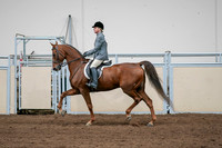 2020 - AB Morgan Horse - Sat, Sept 05 - 03045