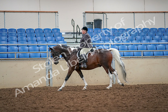 2019 Morgan Horse Show - Aug 30, 2019 - 22329