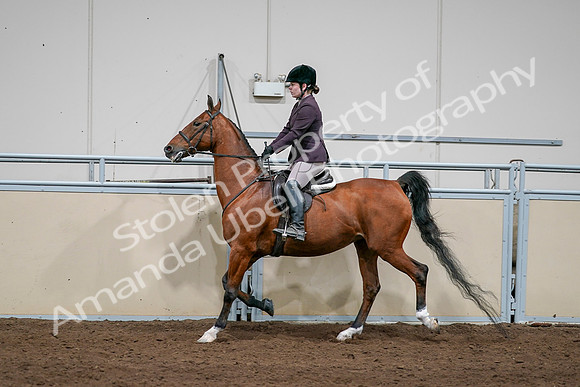 2020 - AB Morgan Horse - Sat, Sept 05 - 03060