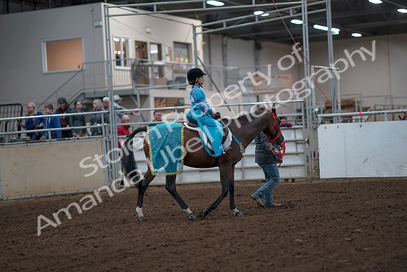 2019 Morgan Horse Show - Aug 31, 2019 - 10034