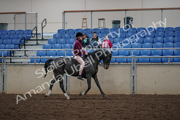 2019 Morgan Horse Show - Aug 30, 2019 - 31363