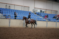 2019 Morgan Horse Show - Aug 30, 2019 - 12665