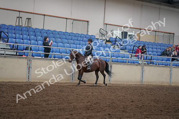 2019 Morgan Horse Show - Aug 30, 2019 - 12665