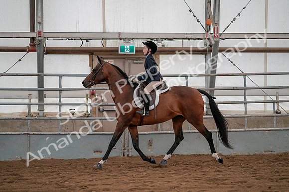 July 19, 2019 - 3951