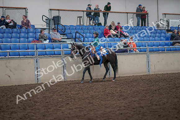 2019 Morgan Horse Show - Aug 31, 2019 - 16295