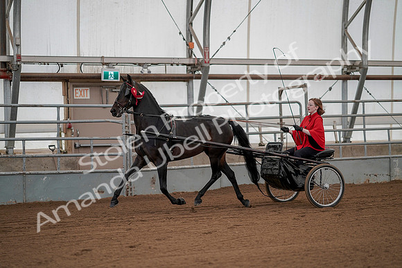 July 20, 2019 - 00307