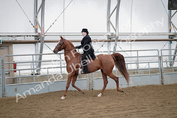 July 21, 2019 - 10469