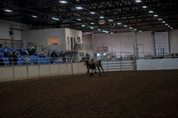 2019 Morgan Horse Show - Aug 31, 2019 - 01479