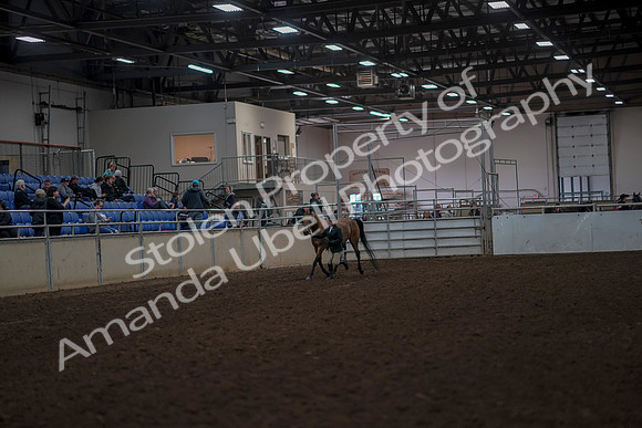 2019 Morgan Horse Show - Aug 31, 2019 - 01479