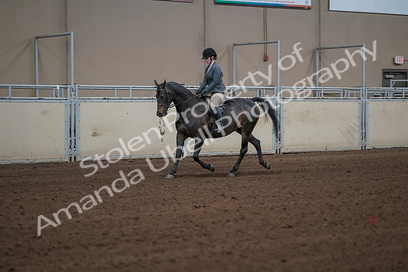 2019 Morgan Horse Show - Sept 01, 2019 - 10901