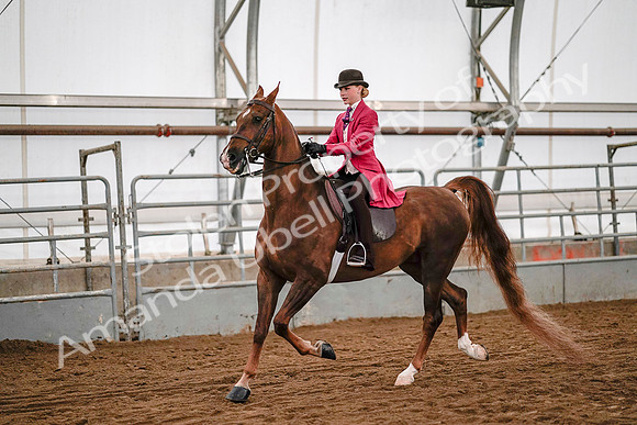July 19, 2019 - 8933