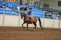 2020 - AB Morgan Horse - Fri, Sept 04 - 04469