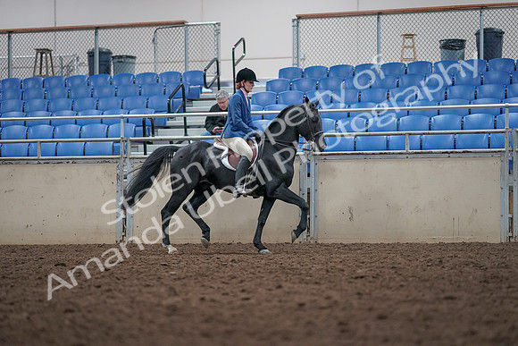 2019 Morgan Horse Show - Aug 31, 2019 - 16706