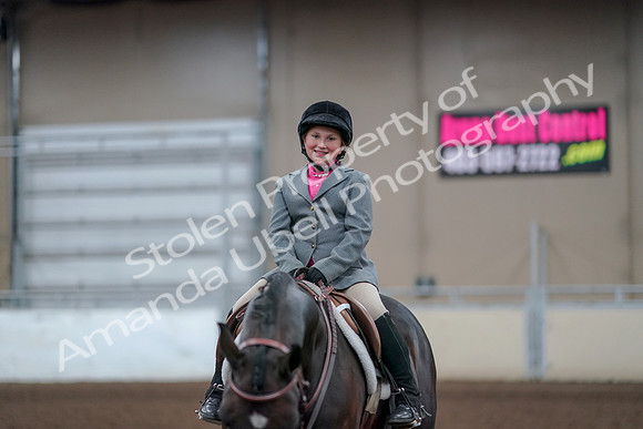 2019 Morgan Horse Show - Aug 31, 2019 - 19735