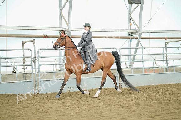 July 20, 2019 - 07797