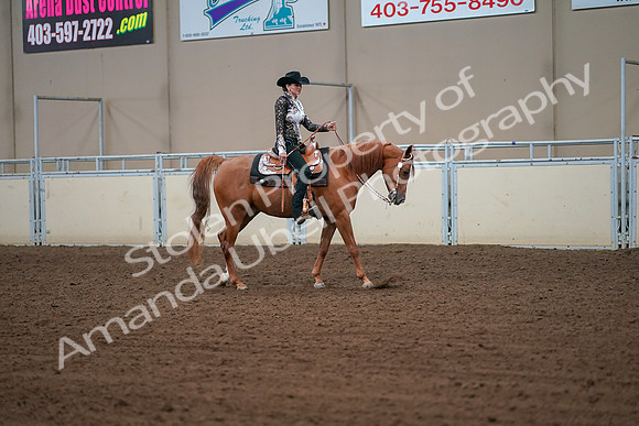 2019 Morgan Horse Show - Aug 30, 2019 - 16916