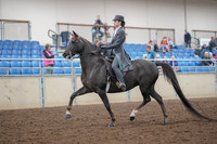 2019 Morgan Horse Show - Aug 30, 2019 - 28374