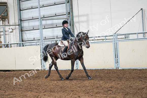 2020 - AB Morgan Horse - Sun, Sept 06 - 08130