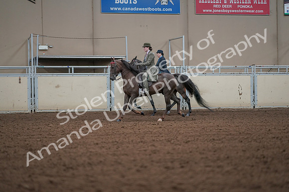 2019 Morgan Horse Show - Aug 30, 2019 - 15473