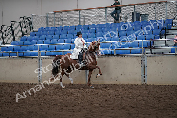 2019 Morgan Horse Show - Aug 31, 2019 - 17961