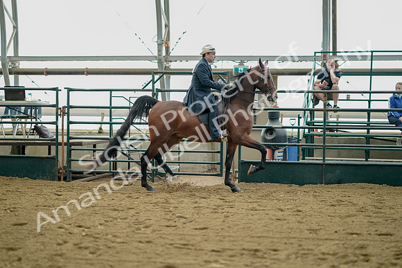 July 21, 2019 - 01731