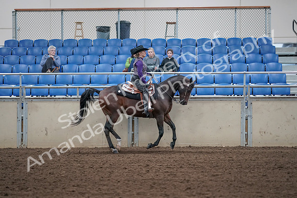 2019 Morgan Horse Show - Aug 31, 2019 - 10699