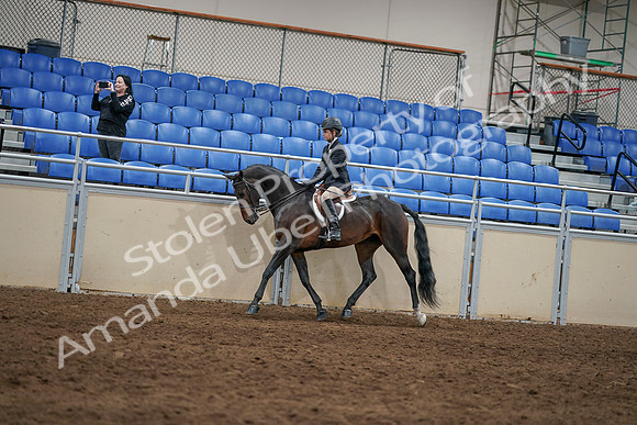 2020 - AB Morgan Horse - Sun, Sept 06 - 07862