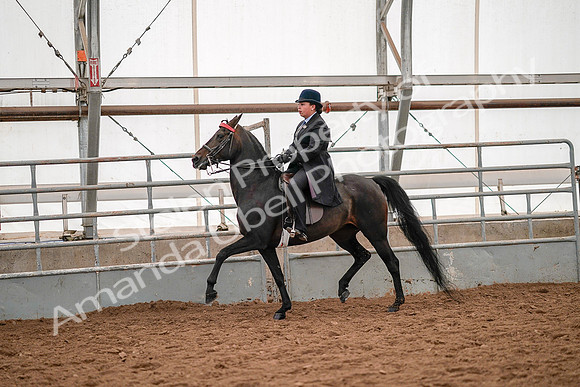 July 19, 2019 - 14088