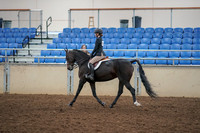 2019 Morgan Horse Show - Aug 30, 2019 - 12132