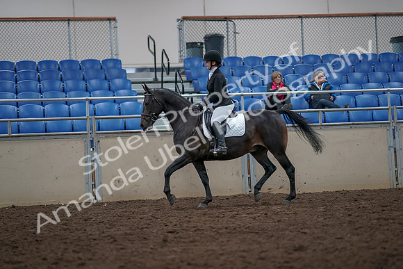 2019 Morgan Horse Show - Aug 31, 2019 - 16547