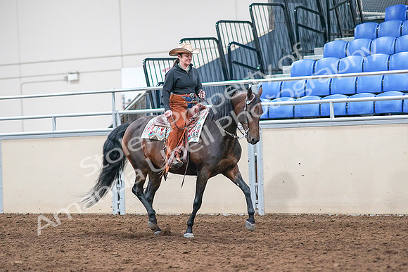 2020 - AB Morgan Horse - Sun, Sept 06 - 01643
