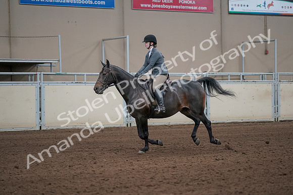 2019 Morgan Horse Show - Sept 01, 2019 - 10980