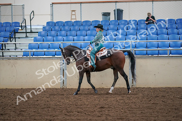 2019 Morgan Horse Show - Aug 30, 2019 - 16718