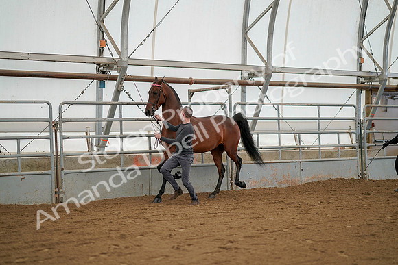 July 19, 2019 - 1232