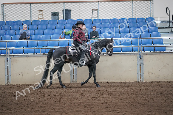 2019 Morgan Horse Show - Aug 31, 2019 - 10768