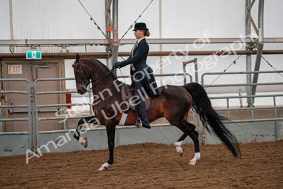 July 19, 2019 - 10550