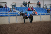 Class 113 - All Breed Walk Jog West Pl 11 & Under