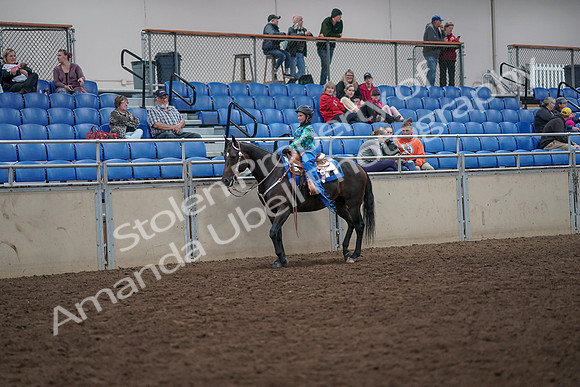 2019 Morgan Horse Show - Aug 31, 2019 - 16292