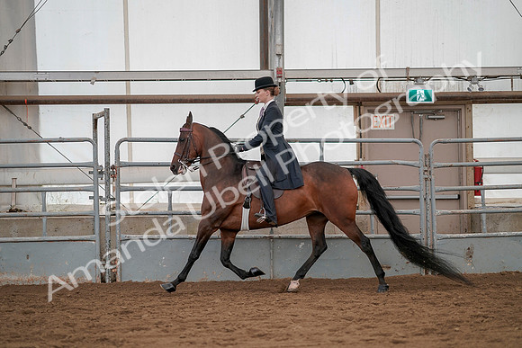 July 20, 2019 - 04385