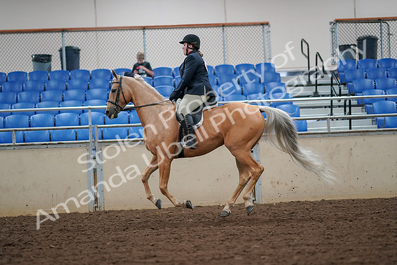 2019 Morgan Horse Show - Aug 30, 2019 - 16331