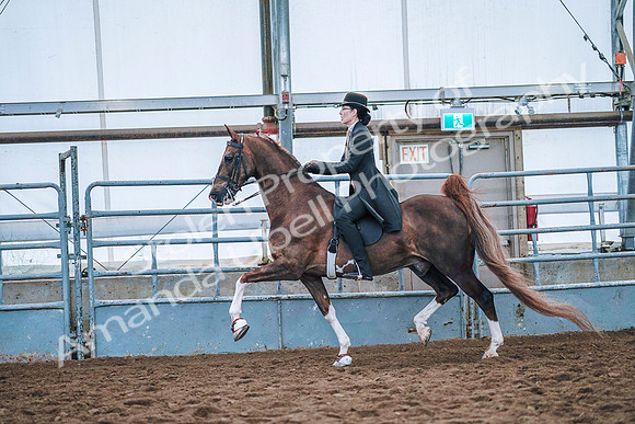July 20, 2019 - 23851