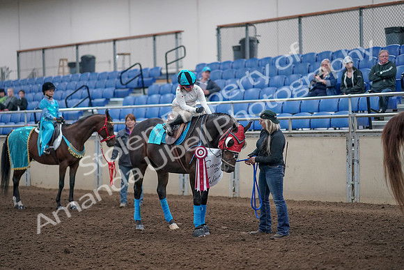 2019 Morgan Horse Show - Aug 31, 2019 - 10117