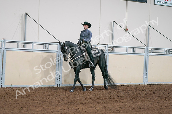 2020 - AB Morgan Horse - Fri, Sept 04 - 08513