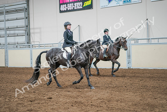 2020 - AB Morgan Horse - Sun, Sept 06 - 08137